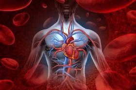 2018年5月14-8月6日（在线）芝加哥社区医疗成果推广：顽固性高血压