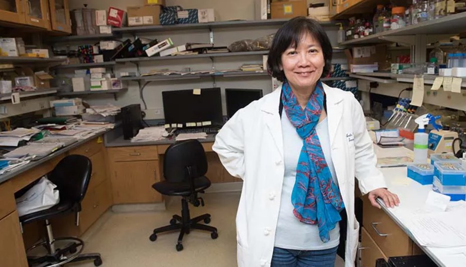 新型抗癌药物有望治疗胰腺肿瘤