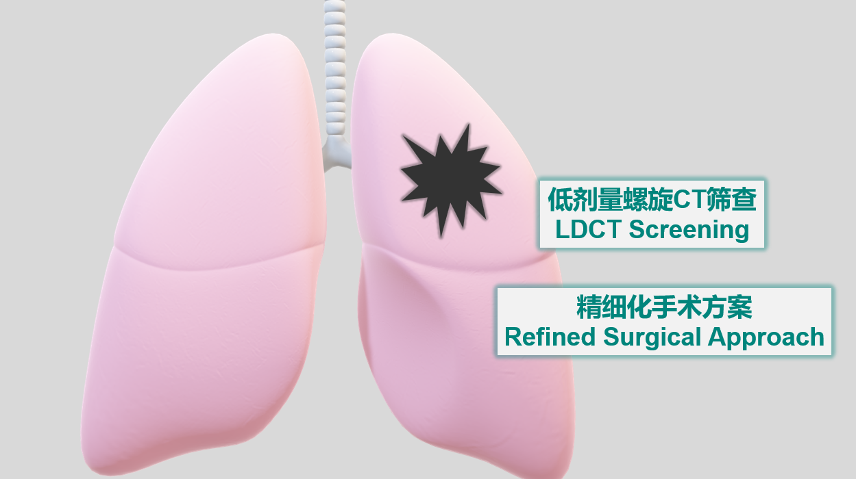 1764824147995027.png 1764824147995027.png